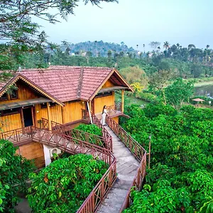 https://niyatma-wayanad-resort-by-voye-homes.kerala-hotels.net